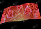 অ্যালুমিনিয়াম ইন্ডোর বাঁকা নেতৃত্বাধীন কার্টেন কনসার্ট LED ডিসপ্লে P6.94 P8.92 P10.51 P12.5mm